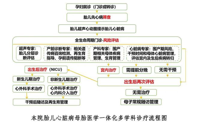 【數(shù)說2024】醫(yī)學遺傳中心2024年鑒(圖7)