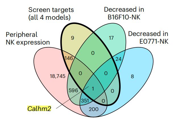 Nature子刊：陳斯迪葉露鵬團(tuán)隊(duì)利用體內(nèi)AAV-睡美人CRISPR篩選技術(shù)發(fā)現(xiàn)NK細(xì)胞癌癥免疫治療新靶點(diǎn)(圖3)