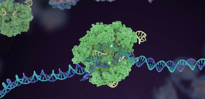 押寶CRISPR和人工智能！張澤民院士團隊的研究方向開始更新了！(圖2)